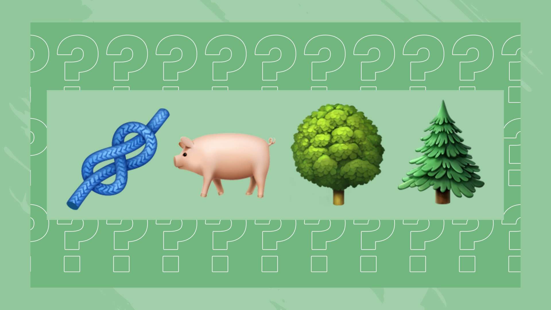 参与各类比 参与各类比