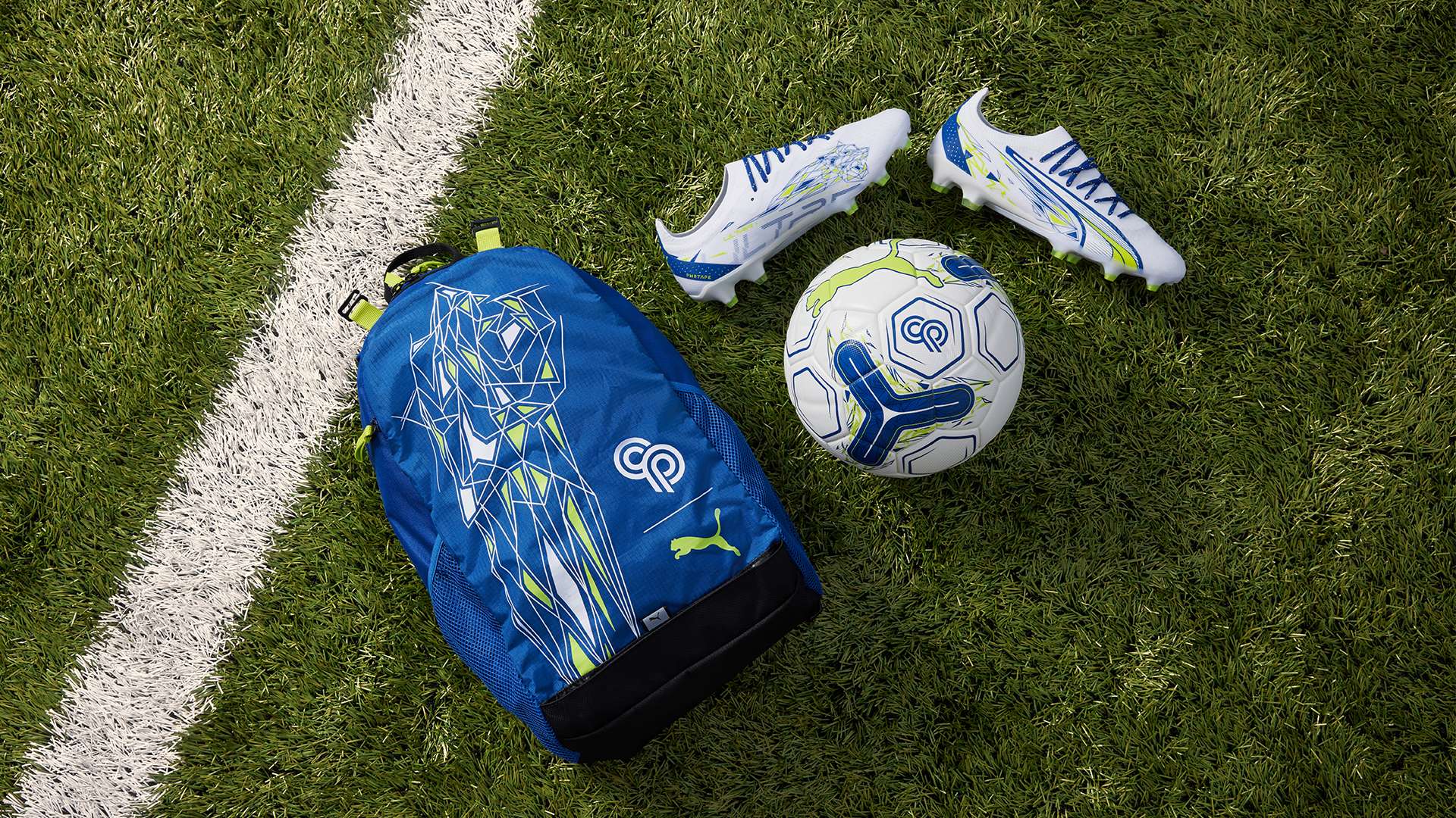 这场盛会的 这场盛会的